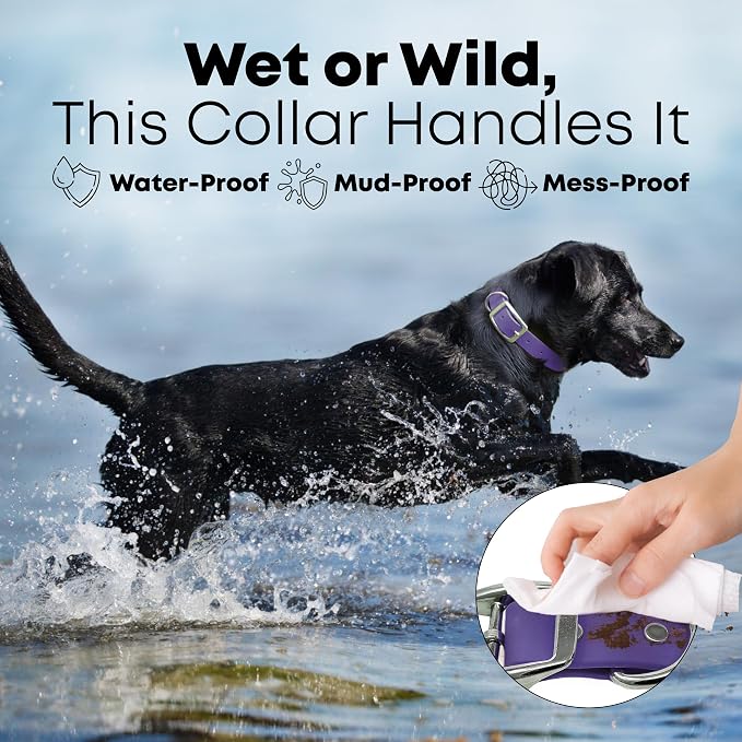 Regal Dog Products Medium Purple Waterproof Dog Collar and Leash Set | Heavy Duty Double Buckle & D Ring - 5'ft Leash | Adjustable Biothane Dog Collar | Chew Resistant Waterproof Collar for Dogs