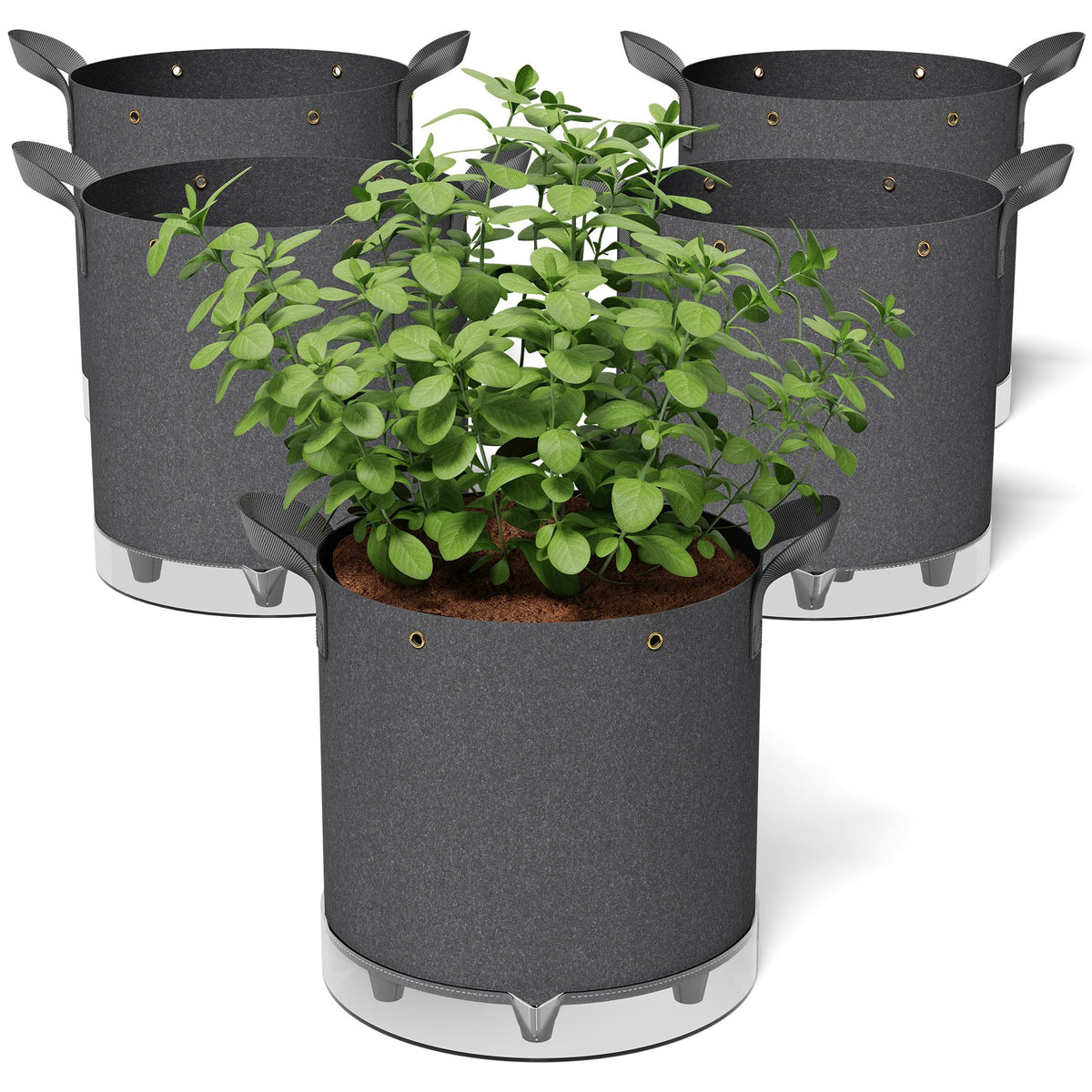 Patigrow Self-Watering Grow Bags, 5-Pack 5 Gallon 420G Thick Nonwoven Fabric Pots with Reinforced Handles and Multi-Purpose Rings, for Low Stress Plant Training Fruits, Vegetables,and Flowers