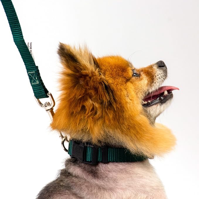 Country Brook Petz - Everyday Nylon Dog Collar and Leash - 10+ Cool Colors (1 Inch, Large, Green)