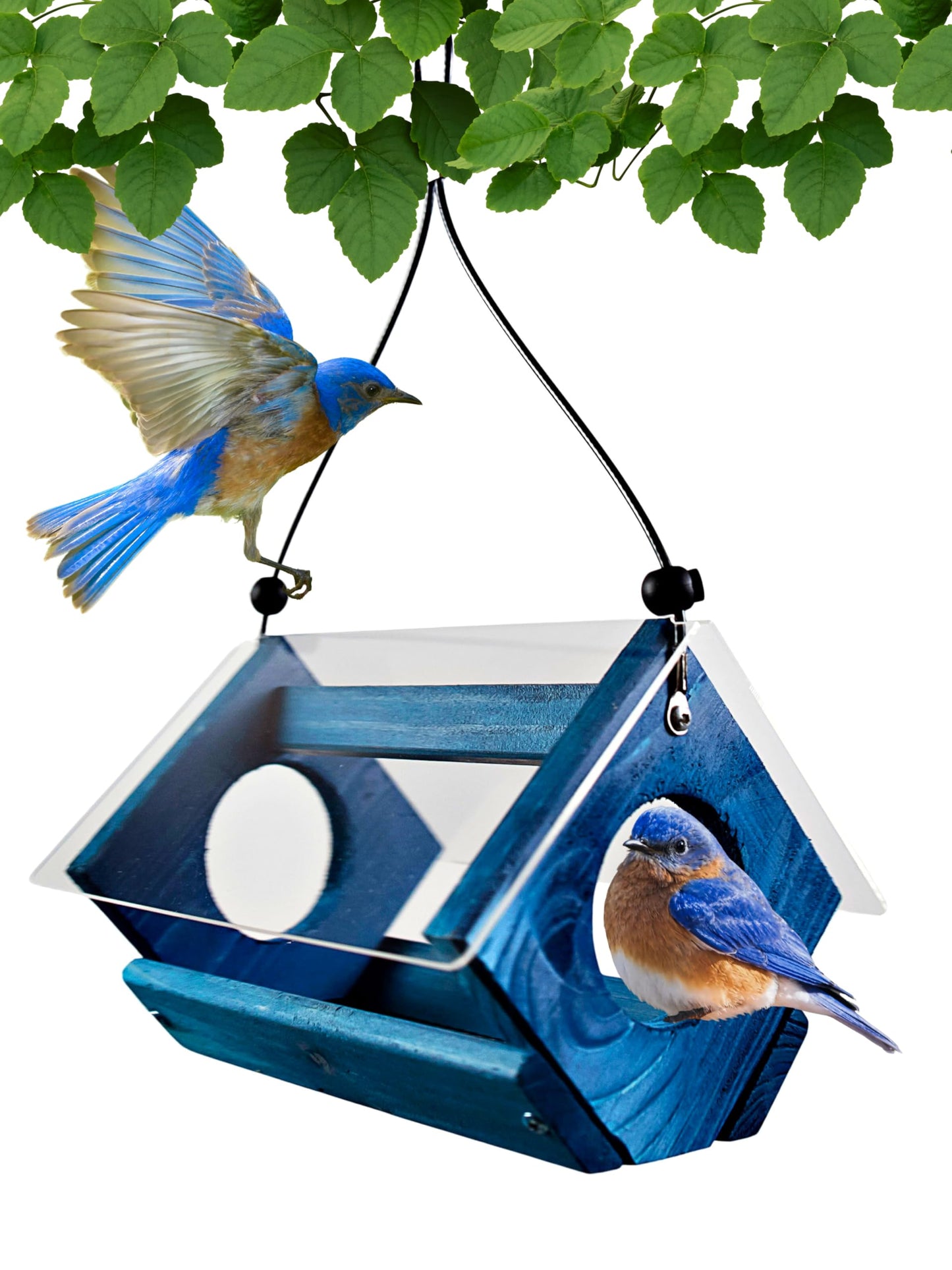 Backyard Essentials Petite Bluebird Feeder with Plexiglass Roof and Powder Coated Steel Mesh Basket Bird Feeder Tray