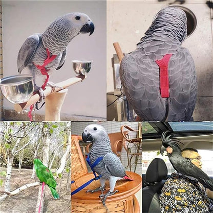 Adjustable Bird Harness and Leash,Anti-Escape Durable Nylon Parrot Harness, Flying Training Rope Parrot Leash for Small Medium Large Breed Parrots Fits Chest Under 18.5'', Black S