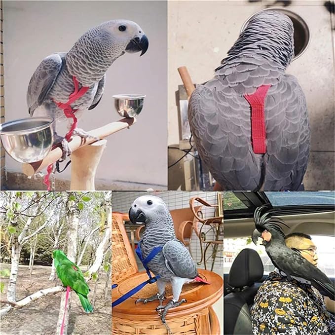Adjustable Bird Harness and Leash,Anti-Escape Durable Nylon Parrot Harness, Flying Training Rope Parrot Leash for Small Medium Large Breed Parrots Fits Chest Under 24.4'', Blue L
