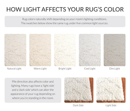 SAFAVIEH Area Rug 8x10 - Arizona Shag Collection - Large - Ivory & Beige, Moroccan Boho Design, Non-Shedding & Easy to Clean, Ideal for Living Room, Bedroom, Dining Space (ASG743A)