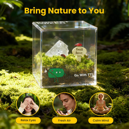 DIY Moss Terrarium Kit, 4 * 4 * 4 inch Acrylic Cube Mini Garden with Live Star Moss, Soil, Boundless Fortune-Craft Kit for Adults and Teens, Relaxing Desk Decor & Unique Gift for Home or Office