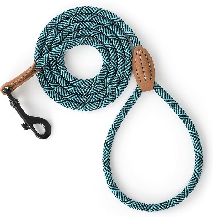 Mile High Life Small Dog Leash, Thin Rope Leash with Genuine Leather Connection and Heavy Duty Metal Clasp, Great for Small Medium Dogs(Turquoise Green, 60 Inch-1/3)