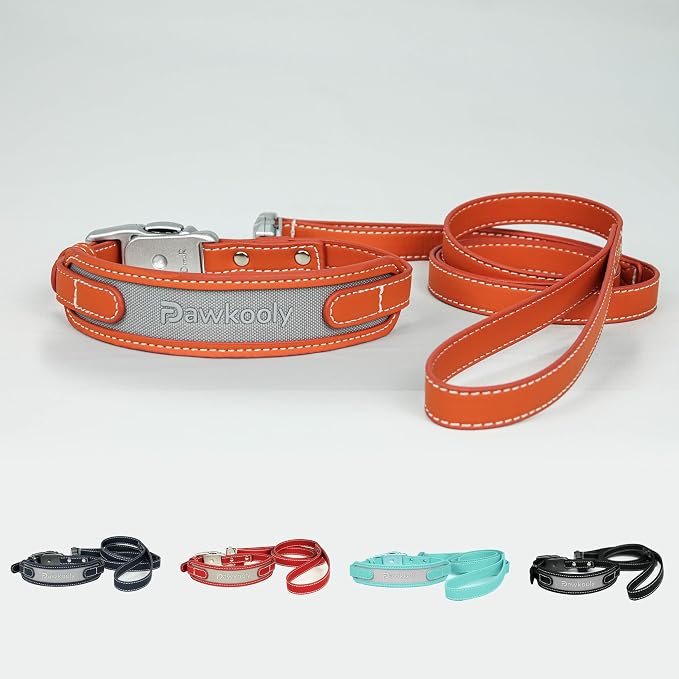 MagEase Dog Collar with 4FT Leash | Adjustable | Anti-Wrinkle, Bite & Stain-Resistant Leather | Soft & Skin-Friendly | 450LB Escape-Proof Magnetic Buckle (Orange, Extra Large)