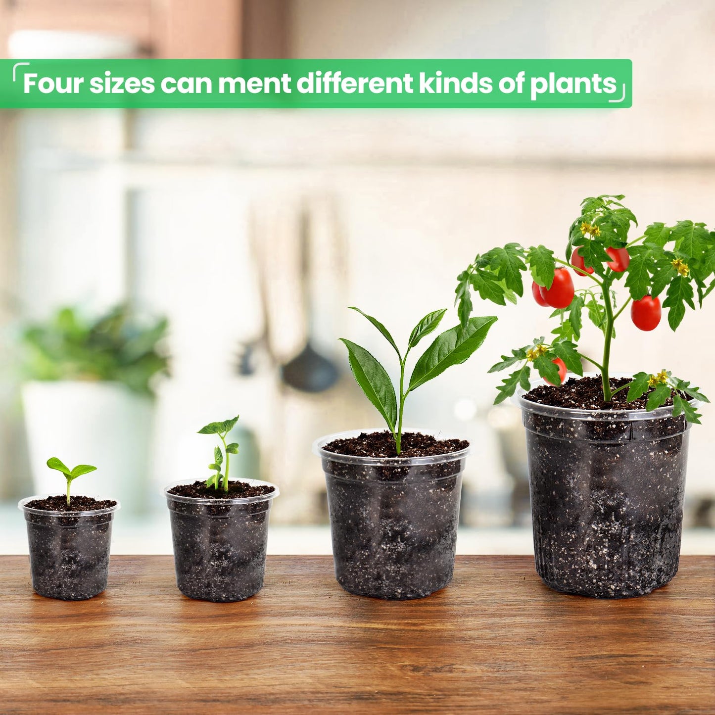 Bluepro 36 Packs 6.7/5/4/3.5 Inch Reinforced Clear Nursery Pots with Drainage Hole, Transparent Variety Pack Plastic Plant Pot Seedling Planter Seed Starter Flower