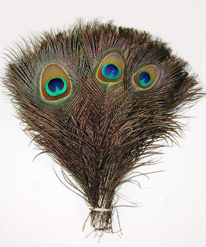 50 Pcs Natural Peacock Feathers : Various Sizes (10-12”)