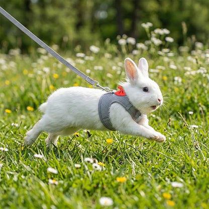 Bunny Leash and Harness Set, Breathable Rabbit Harness Vest, Adjustable Straps Design, Soft Mesh Harnesses for Puppies, Kitten, Guinea Pigs, Grey S