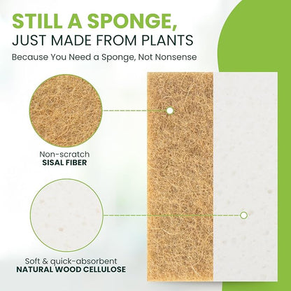 Tieralia Natural Dish Sponge Set – 6-Pack Eco-Friendly & Compostable Scrubbers | Cellulose & Sisal | Non-Toxic, Odor-Free, Reusable Kitchen Sponges for Dishes, Sink, Pots & Pans