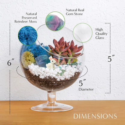 Creations by Nathalie DIY 6" DIY Chalice Terrarium Kit - Build Your Own Glass Terrarium for Adults & Teens with Moss, Crystals, Tools & Decorative Figurine - Mini Ecosystem (Plant Not Included)