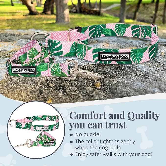 Lucky Love Dog Martingale Dog Collar & Leash - Adjustable, No-Slip, Durable, Comfortable, Soft Webbing, & Stylish Patterned Collar & Leash Set for Male and Female Dogs - Laguna Mart Combo, Large