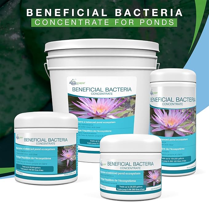 Aquascape Dry Beneficial Bacteria for Pond and Water Features, 4.4-Ounce | 98925,White