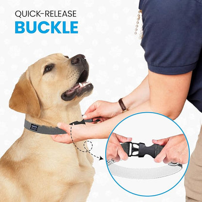 Hypoallergenic Dog Collar - Great for Sensitive Skin, Soft Collar for Dogs, Soft Organic & Earth Friendly (X-Large, Grey)