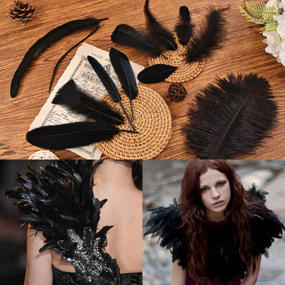 Daieeparty 360pcs Small Pheasant Feathers 12 Style Mixed Feathers Natural Feathers for Crafting Wedding Dream Catcher Hats Decoration
