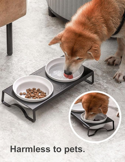 Ceramic White Dog Bowls Set - 5 inch Dog Food & Water Bowls, Elevated Feeding Bowls with Metal Stand for Small Size Dog,Puppy Bowl Set for Wet and Dry Food