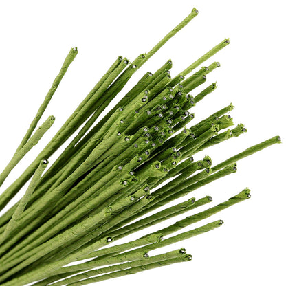 KEILEOHO 200 PCS Floral Stem Wire 14 Gauge 15.75 Inches Length, Green Floral Wire, Floral Paper Wrapped Wires for Flower Making, DIY Floral Arrangements and Decorations