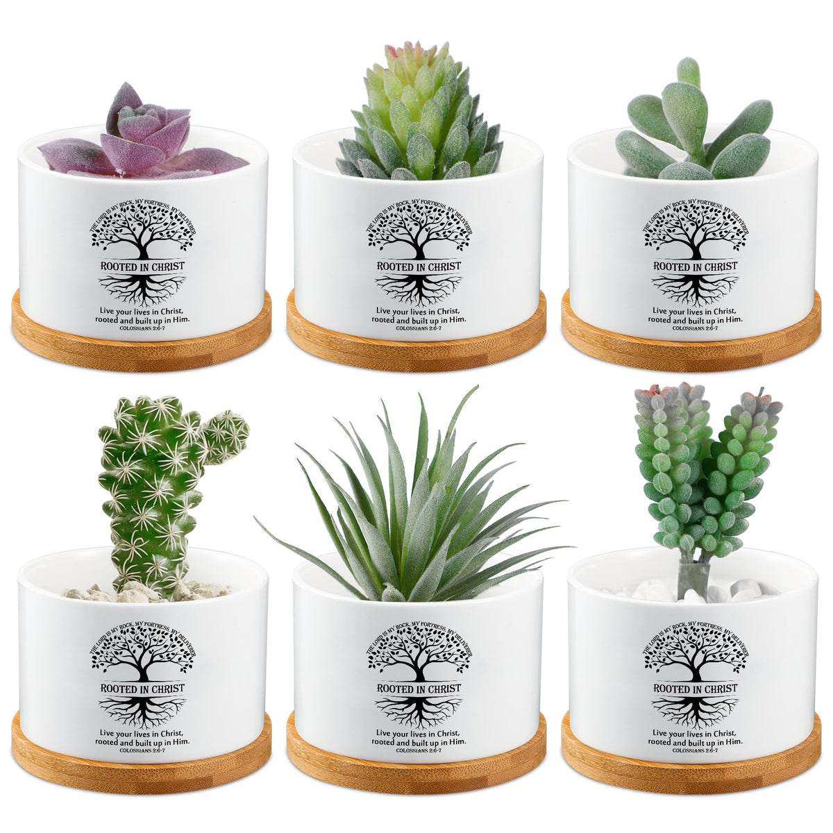 Sieral 6 Pcs Fathers Day Christian Rooted in Christ Small Succulent Pots with Bamboo Tray - 3.15 Inches Mini Ceramic Succulent Planter for Dad Religious Spiritual Bible Gifts, Plants Not Included