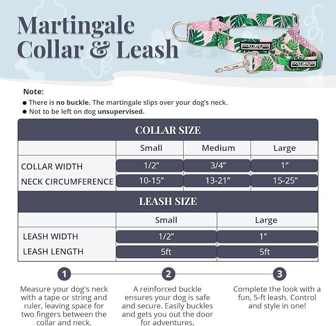 Lucky Love Dog Martingale Dog Collar & Leash - Adjustable, No-Slip, Durable, Comfortable, Soft Webbing, & Stylish Patterned Collar & Leash Set for Male and Female Dogs - Laguna Mart Combo, Small
