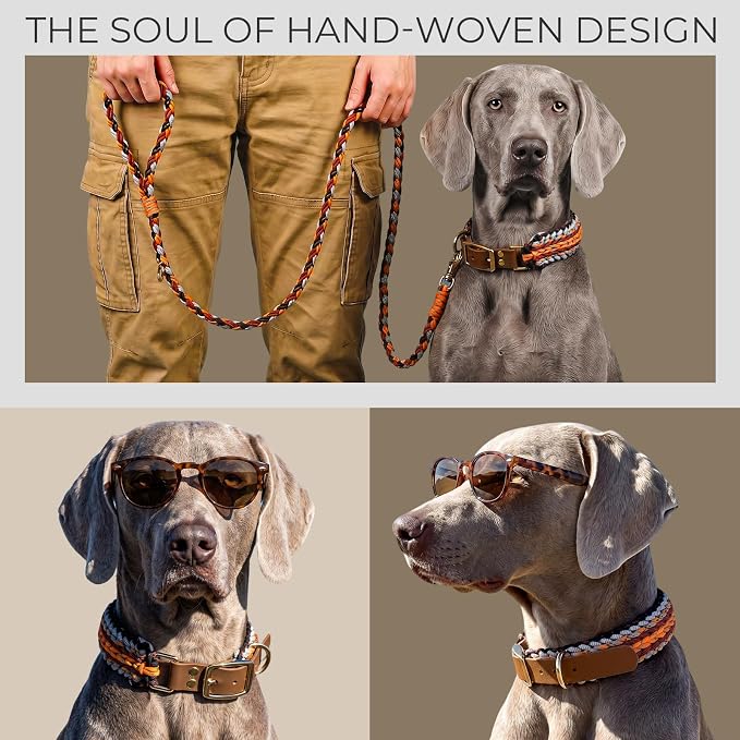 Tirevt Hand-Woven Dog Collar and Leash Set:Color-Block Design, Premium Reinforced Buckle, Adjustable Artisan Paracord for Puppies, Small, Medium & Large Dogs (Orange, XL)