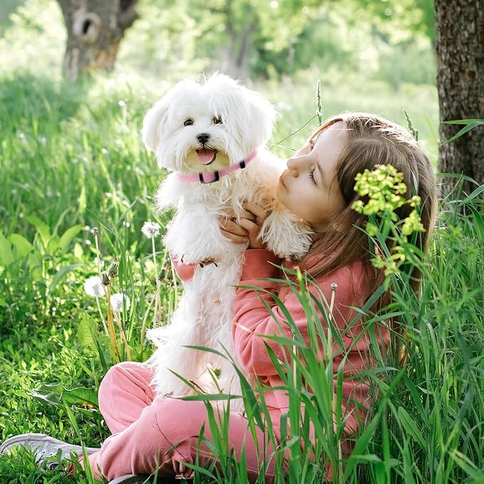 Pink Dog Collar and Leash Set for Medium Size Dog, Breathable, Anti-Odor & Soft, Comfortable for Sensitive Skin Puppies, 90% Bamboo Rayon, Adjustable Quick-Release Buckle Pet Collar for Medium Breeds