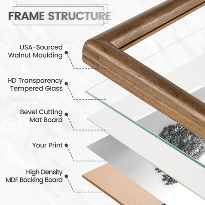 Venusmiles 11x14 Picture Frame, Natural Solid USA-Sourced Walnut Wood Photo Frames with HD Tempered Glass, Handcrafted Rounded Edge Wooden Frame Matted to 8x10, Gallery Wall Art Mount Display