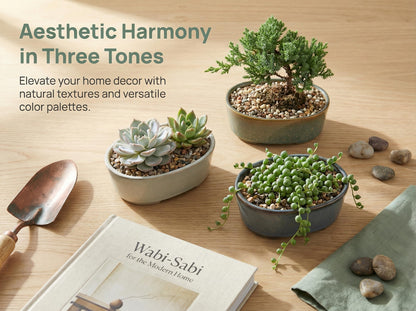 krayce Serenya 6.3 Inch Ceramic Bonsai Pots with Drainage Trays, 3 Pack Shallow Kiln Glazed Planters for Succulents & Bonsai, Indoor Outdoor Decor for Beginners