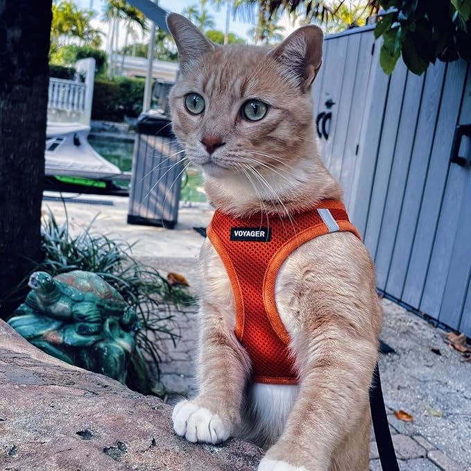 Best Pet Supplies Voyager Step-in Air All Weather Mesh Harness and Reflective Dog 5ft Leash Combo with Neoprene Handle, for Small, Medium and Large Breed Puppies - Orange, X-Large