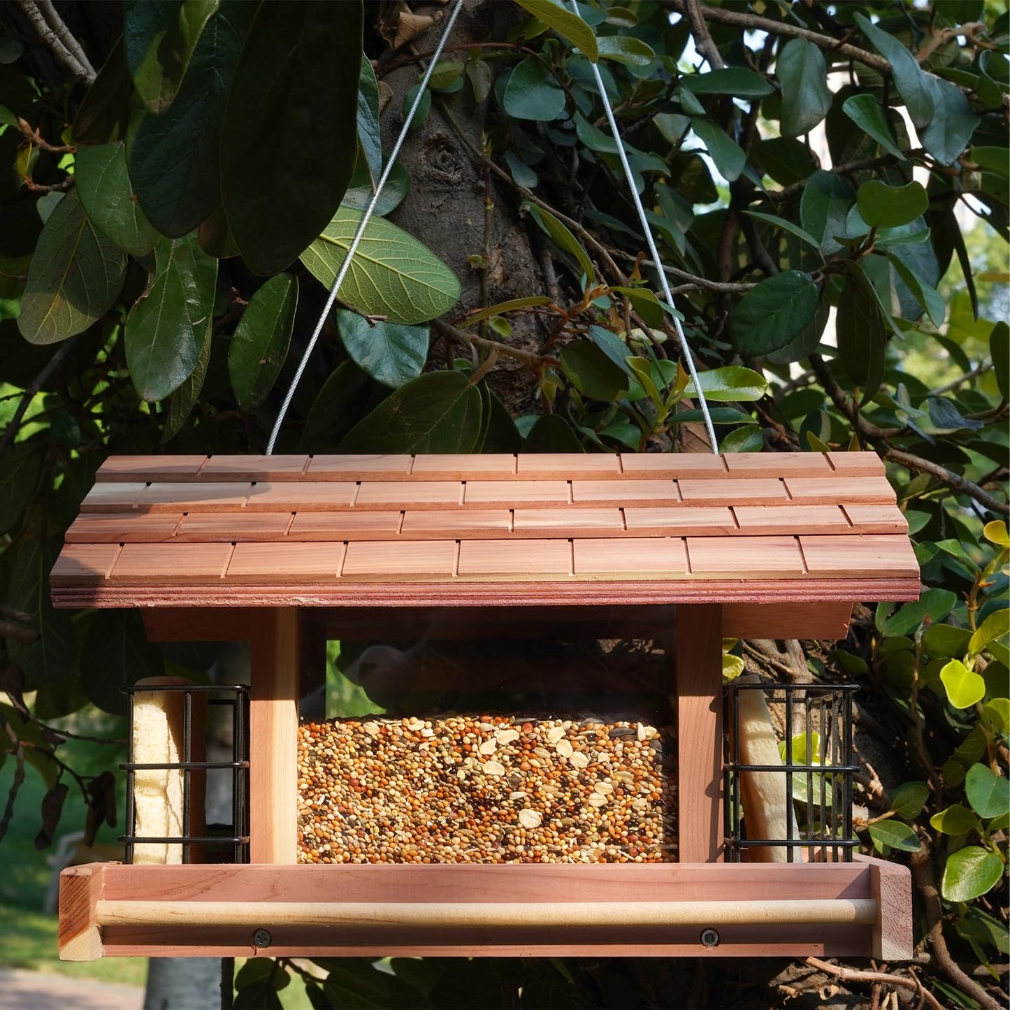 Liawm Wooden Bird Feeder for Outdoors Hanging Mount Large Capacity, Red Cedar Garden Roof Feeder with 2 Suet Cages, Cardinal Bluebird Birdfeeder for Garden Decoration Yard, Weatherproof Durable