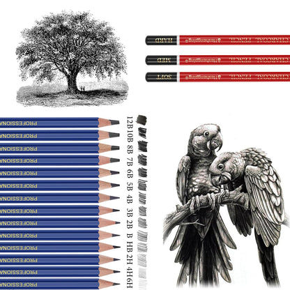 Drawing Sketching Pencil Set, 26 pcs Draw Supplies Kit, 14 Graphite (12B -6H), Charcoal Erasers Sharpener Extender, Ideal for Drawing Art, Sketching, Shading, Artist Pencils for Beginners Pro Artists