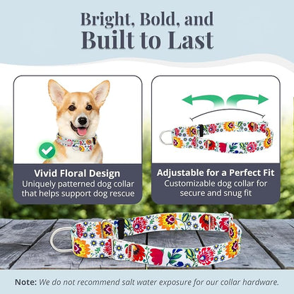 Lucky Love Dog Martingale Dog Collar - Adjustable, No-Slip, Durable, & Soft Webbing Collar for Male and Female Dogs Ideal for Training & Walking - Ladybird, Small