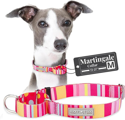 Lucky Love Dog Martingale Dog Collar - Adjustable, No-Slip, Durable, & Soft Webbing Collar for Male and Female Dogs Ideal for Training & Walking - Molly, Medium