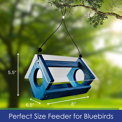 Backyard Essentials Petite Bluebird Feeder with Plexiglass Roof and Powder Coated Steel Mesh Basket Bird Feeder Tray