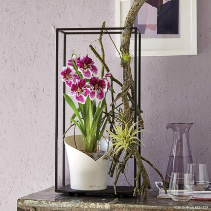 Lechuza Plant Pot, 13960