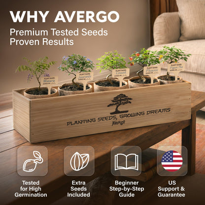 AVERGO Bonsai Tree Kit Deluxe - 5X Unique Japanese Bonzai Trees | Complete Indoor Bonsai Starter Kits from Seeds to Trees – DIY Gardening Gifts for Mother, Women & Men