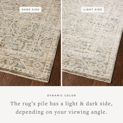 Loloi Clarisse Collection CLS-08 Olive/Ivory 7'-10" x 10'-2" Fringe Area Rug