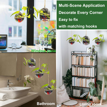 3 Pack Hanging Propagation Stations with Care Tool Kit (Squeeze Bottle & Tweezers Included), Glass Wall Planters for Indoor Plants, Hydroponic Terrarium Vases, Plant Lover Gifts for Women, Home Decor