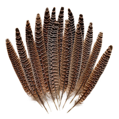 MAOFENG 12pcs Natural Feathers Female Ringneck Pheasant Tails Feathers 8-10inch 20-25cm for Crafts Wedding Party Performance Home DIY Decoration,Female Pheasant Feathers