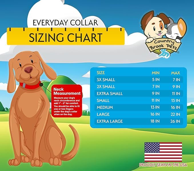 Country Brook Petz - Everyday Nylon Dog Collar and Leash - 10+ Cool Colors (1 Inch, Extra Large, Charcoal)