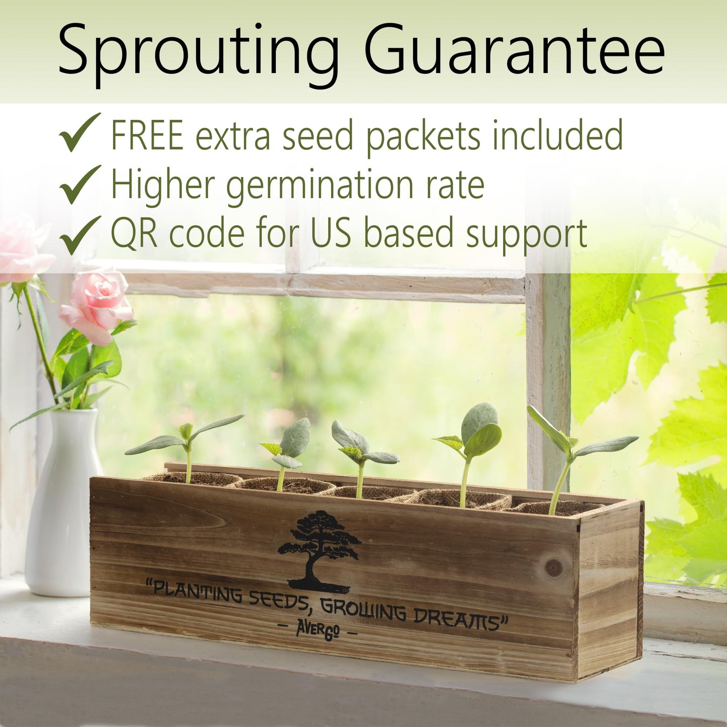 AVERGO Bonsai Tree Kit for Beginners – 5X Unique Japanese Bonzai Trees | Complete Indoor Starter Kit for Growing Bonsai Plants with Tools & Planters – Gardening Gifts for Women & Men