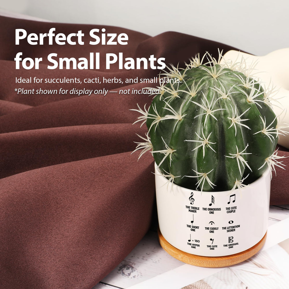 Loovelo Musical Notes Symbol Definition Musicians Gifts Music Teacher Gifts Pianist Choir Director Ceramic Succulent Plant Pot with Bamboo Tray Round Plant Lover Home Decor 3.5 Inch White (No Plants)