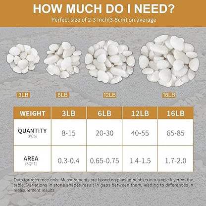 NUPICK 6lb White River Rocks for Plants Indoor, 2-3Inch White Pebbles for Vases Fillers, Decorative Gravel for Fish Tank, Natural Polished Stones for Succulent, Bonsai, Landscaping, Bird Baths