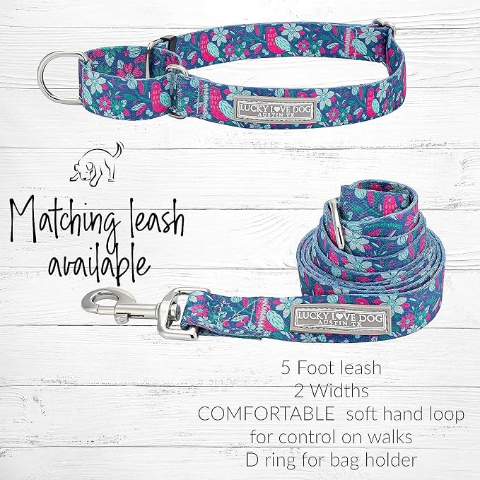 Lucky Love Dog - Easy Click Buckle Dog Collar with Leash Set Combo, Durable & Comfortable for Male & Female Dogs, Pet Collar for Small Dogs, Secure Fit - Carriebelle Martingale Combo, Small