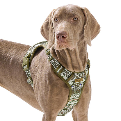 No Pull Dog Harness for Large Dogs with 2 Metal Clips, Easy On/Off with Neck Buckle, Heavy Duty Adjustable Puppy Vest, Breathable Pet Harness with Easy Control Handle, Green Ethnic L
