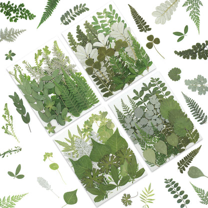 LUXEEASE 84P Dried Pressed Flowers and Leaves Kit - Natural Earthy Green Leaves, Ferns & Eucalyptus for Resin Art, Scrapbooking, Soap Making, Candle Making, DIY Gifts - Tweezers Included