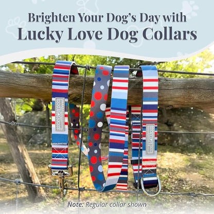 Lucky Love Dog Martingale Dog Collar & Leash - Adjustable, No-Slip, Durable, Comfortable, Soft Webbing, & Stylish Patterned Dog Collar & Leash Set for Male and Female Dogs - Linus Combo, Small