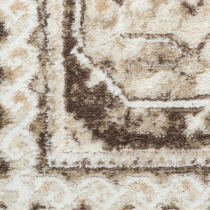 Nourison Home Dekor Ivory Brown 5'3" x 7' Area Rug - Easy Clean, Non Shedding, Bed Room, Living Room, Dining Room, Kitchen (5' x 7')