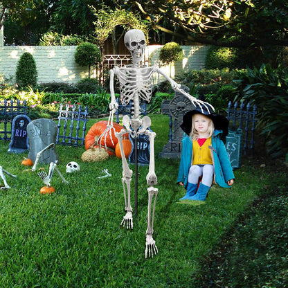 Wocst 5.4Ft Halloween Life Size Human Skeletons Poseable Life Size Skeletons with Rope Plastic Human Bones with Movable Joints for Halloween Decoration