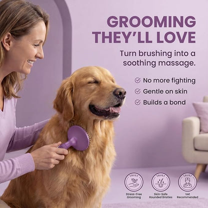 Round Bristle Pet Brush for Dogs and Cats - Soft Dog Brush for Grooming Short or Long Hair - Gentle Tool for Sensitive Skin Removes Dander, Dirt, and Detangles (Purple)