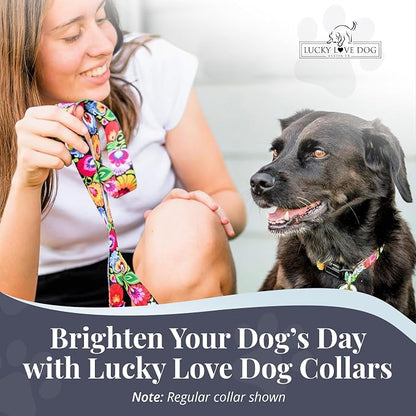Lucky Love Dog Martingale Dog Collar & Leash - Adjustable, No-Slip, Durable, Comfortable, Soft Webbing, & Stylish Patterned Collar & Leash Set for Male and Female Dogs - Blackbird Combo, Medium